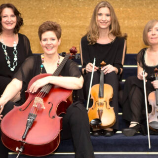 Indigo Streichquartett